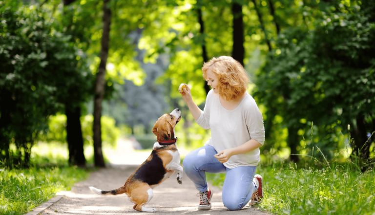 Passeios divertidos