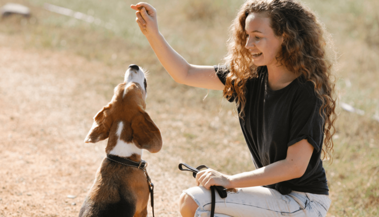 Educação Canina