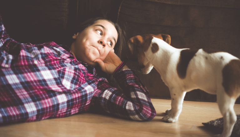 Como Cuidar do Seu Animal de Estimação 3