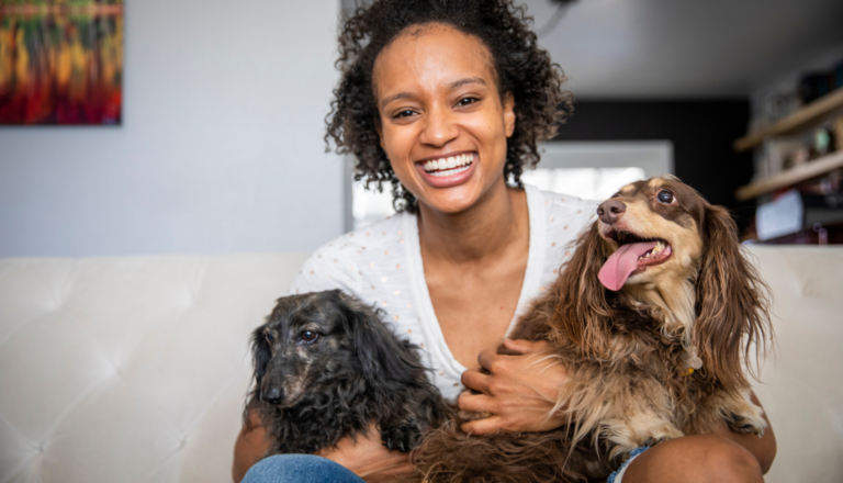 Mitos e Verdades sobre Cuidar de Animais