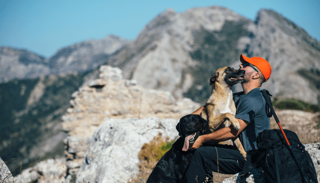 Durante a viagem com Viagens com Pets